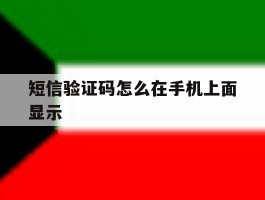 短信验证码怎么在手机上面显示
