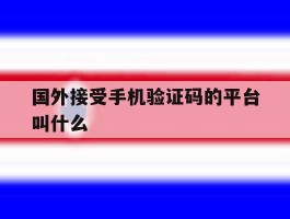国外接受手机验证码的平台叫什么