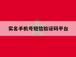 实名手机号短信验证码平台