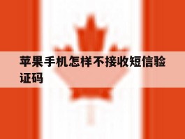 苹果手机怎样不接收短信验证码