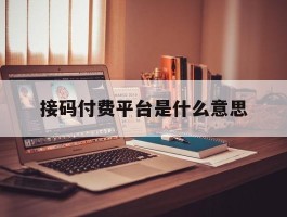 接码付费平台是什么意思