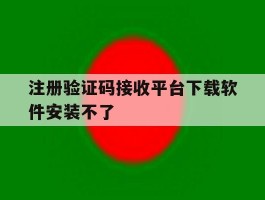注册验证码接收平台下载软件安装不了