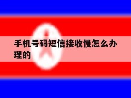 手机号码短信接收慢怎么办理的