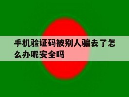 手机验证码被别人骗去了怎么办呢安全吗的简单介绍