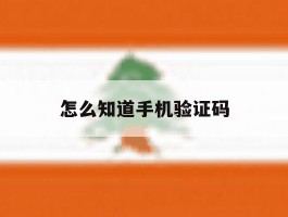 怎么知道手机验证码
