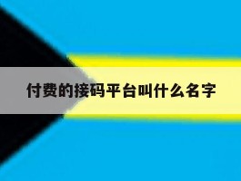付费的接码平台叫什么名字