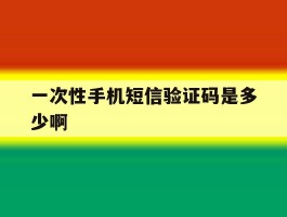 一次性手机短信验证码是多少啊