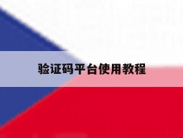 验证码平台使用教程