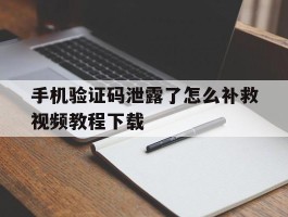 手机验证码泄露了怎么补救视频教程下载