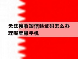 无法接收短信验证码怎么办理呢苹果手机的简单介绍