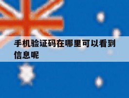 手机验证码在哪里可以看到信息呢