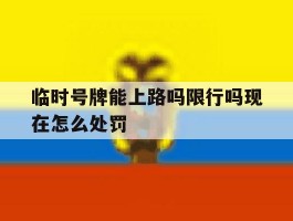 临时号牌能上路吗限行吗现在怎么处罚