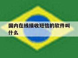 国内在线接收短信的软件叫什么