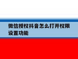 微信授权抖音怎么打开权限设置功能