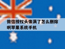 微信授权头像满了怎么删除啊苹果系统手机的简单介绍