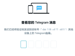 虚拟手机号接收短信验证码的方法是什么