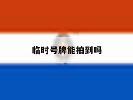 临时号牌能拍到吗