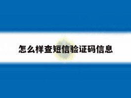 怎么样查短信验证码信息
