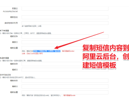 云短信平台在线接收什么意思呀怎么设置密码