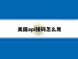 美国api接码怎么用