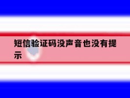 短信验证码没声音也没有提示
