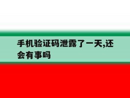 包含手机验证码泄露了一天,还会有事吗的词条