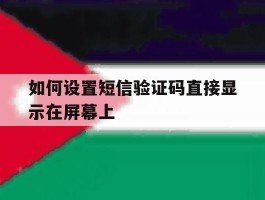 如何设置短信验证码直接显示在屏幕上