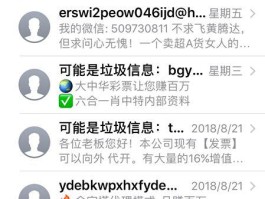 临时短信接收什么意思啊苹果12