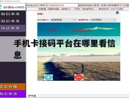 手机卡接码平台在哪里看信息