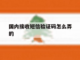 国内接收短信验证码怎么弄的