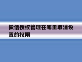 微信授权管理在哪里取消设置的权限的简单介绍