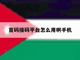 首码接码平台怎么用啊手机
