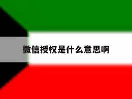 微信授权是什么意思啊