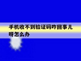 手机收不到验证码咋回事儿呀怎么办