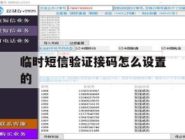 临时短信验证接码怎么设置的