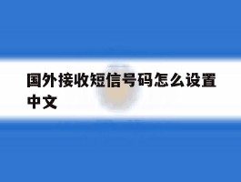 国外接收短信号码怎么设置中文