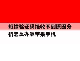 包含短信验证码接收不到原因分析怎么办呢苹果手机的词条