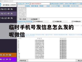 临时手机号发信息怎么发的呢微信