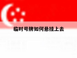 临时号牌如何悬挂上去
