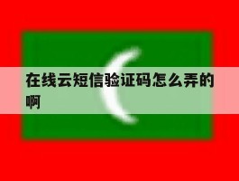 在线云短信验证码怎么弄的啊