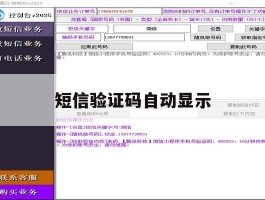 短信验证码自动显示