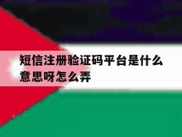 短信注册验证码平台是什么意思呀怎么弄