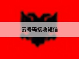 云号码接收短信