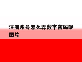 注册账号怎么弄数字密码呢图片