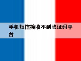 手机短信接收不到验证码平台