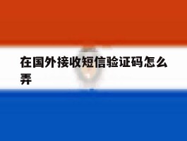 在国外接收短信验证码怎么弄