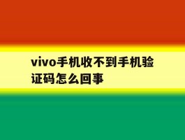 vivo手机收不到手机验证码怎么回事