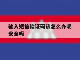 输入短信验证码该怎么办呢安全吗