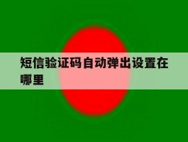 短信验证码自动弹出设置在哪里