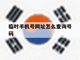 临时手机号网址怎么查询号码